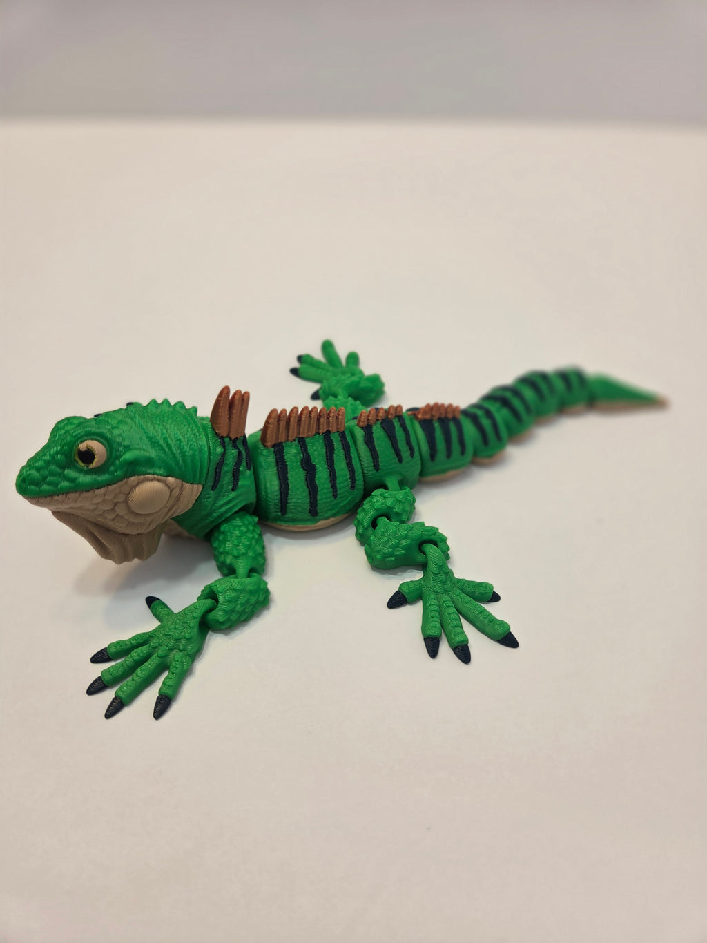 Green Iguana
