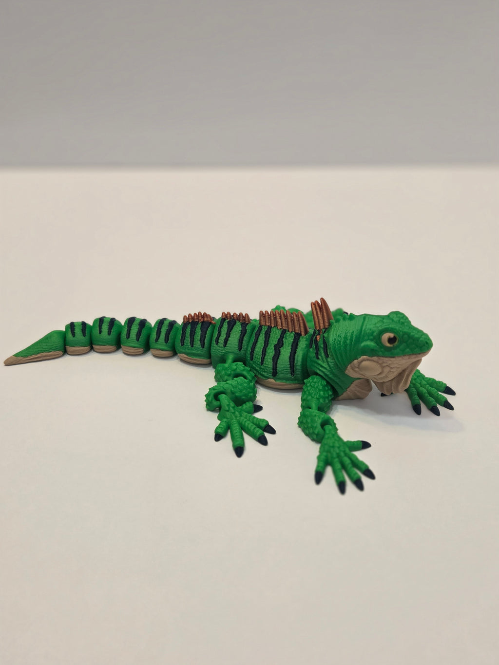 Green Iguana