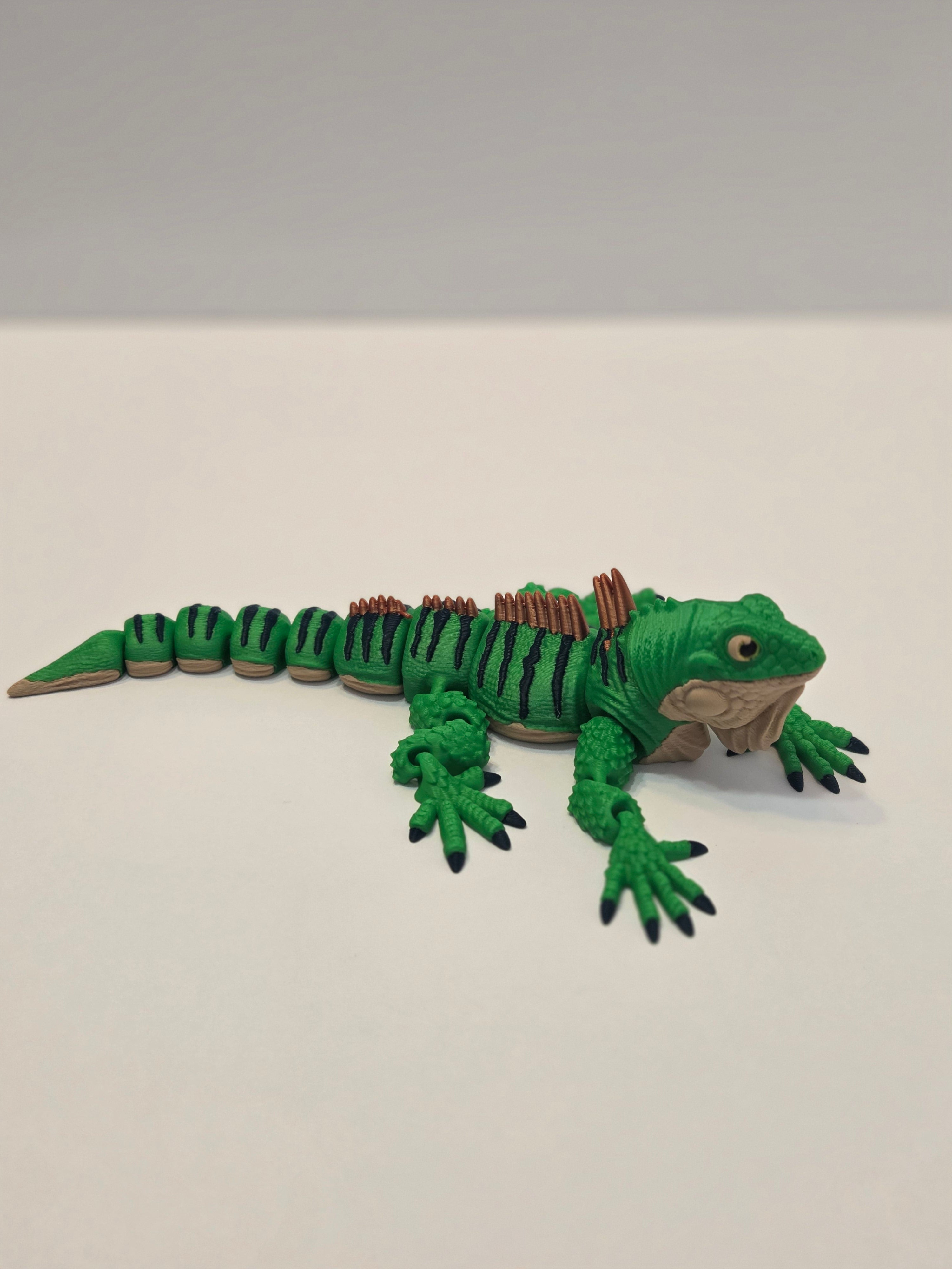 Green Iguana