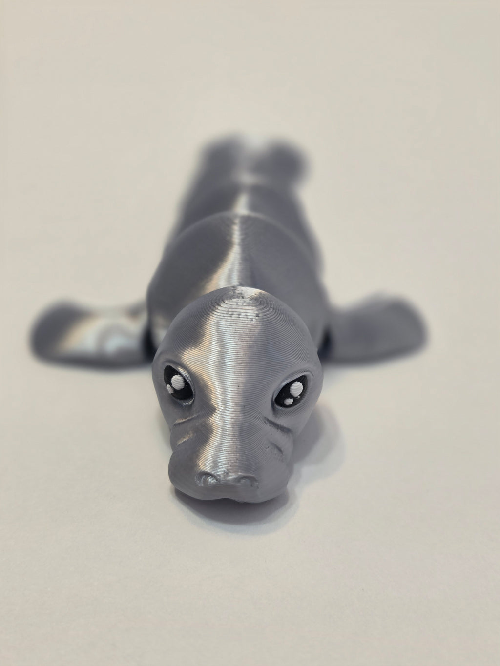 Manatee