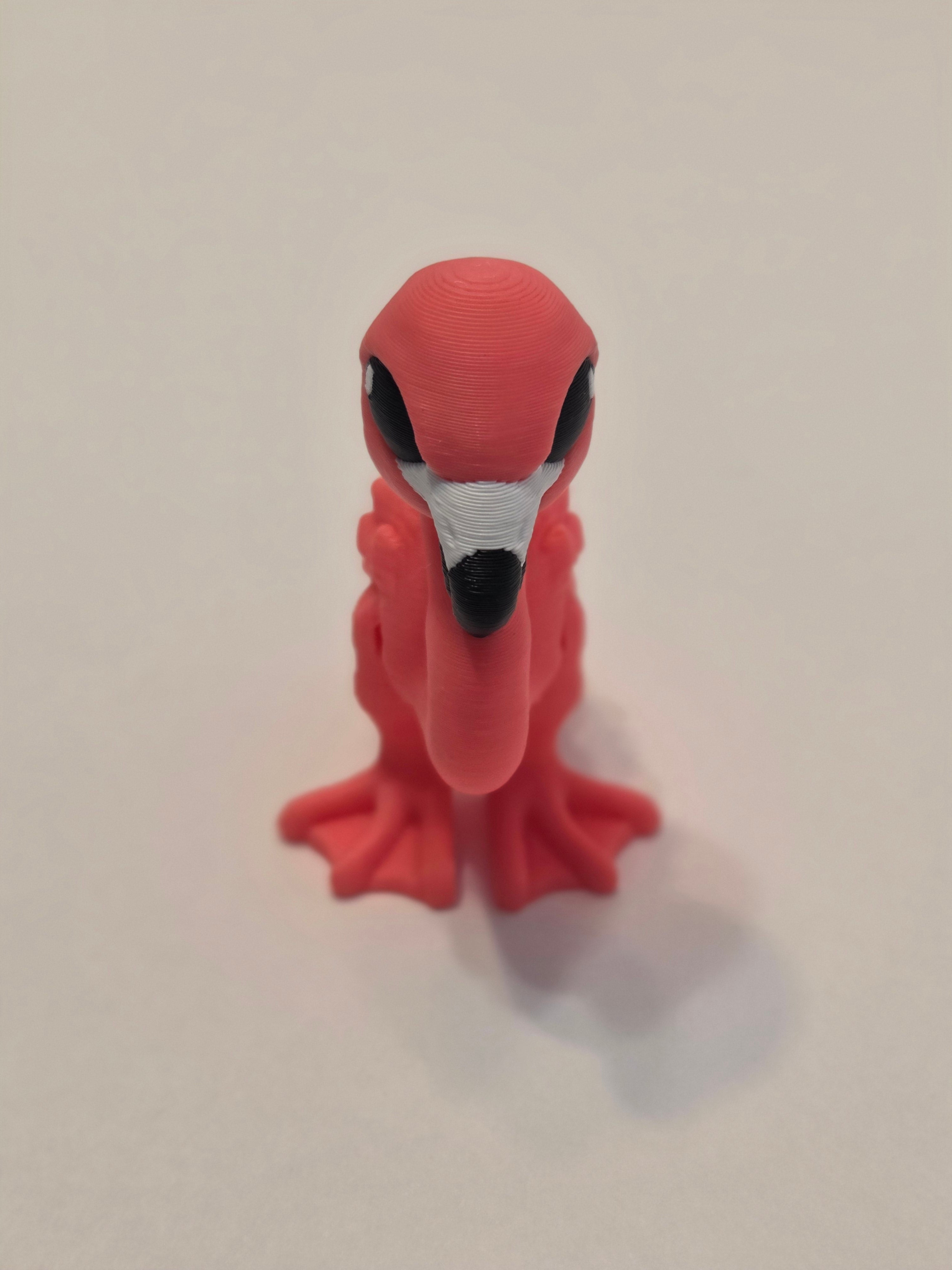 Flamingo