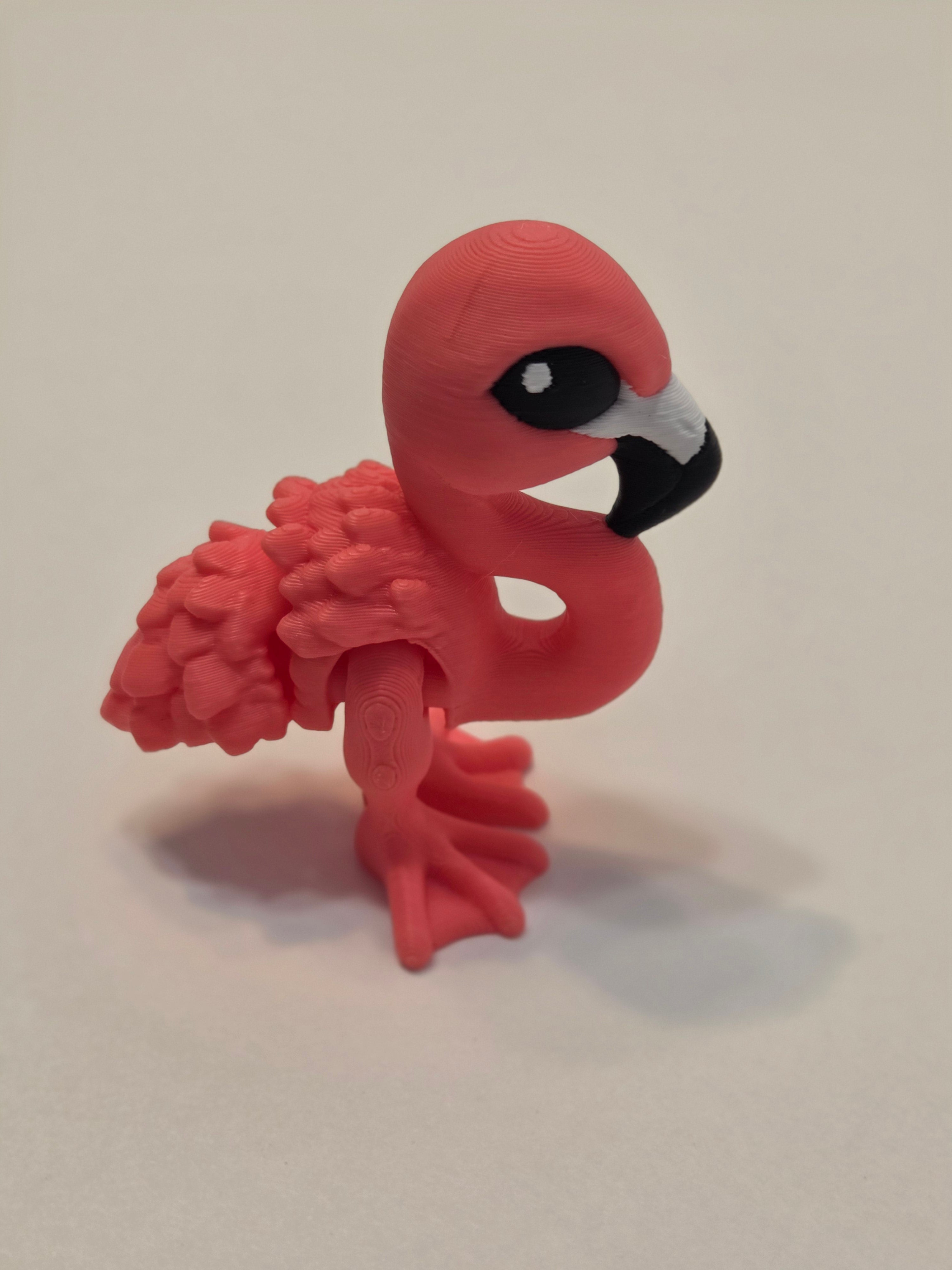Flamingo