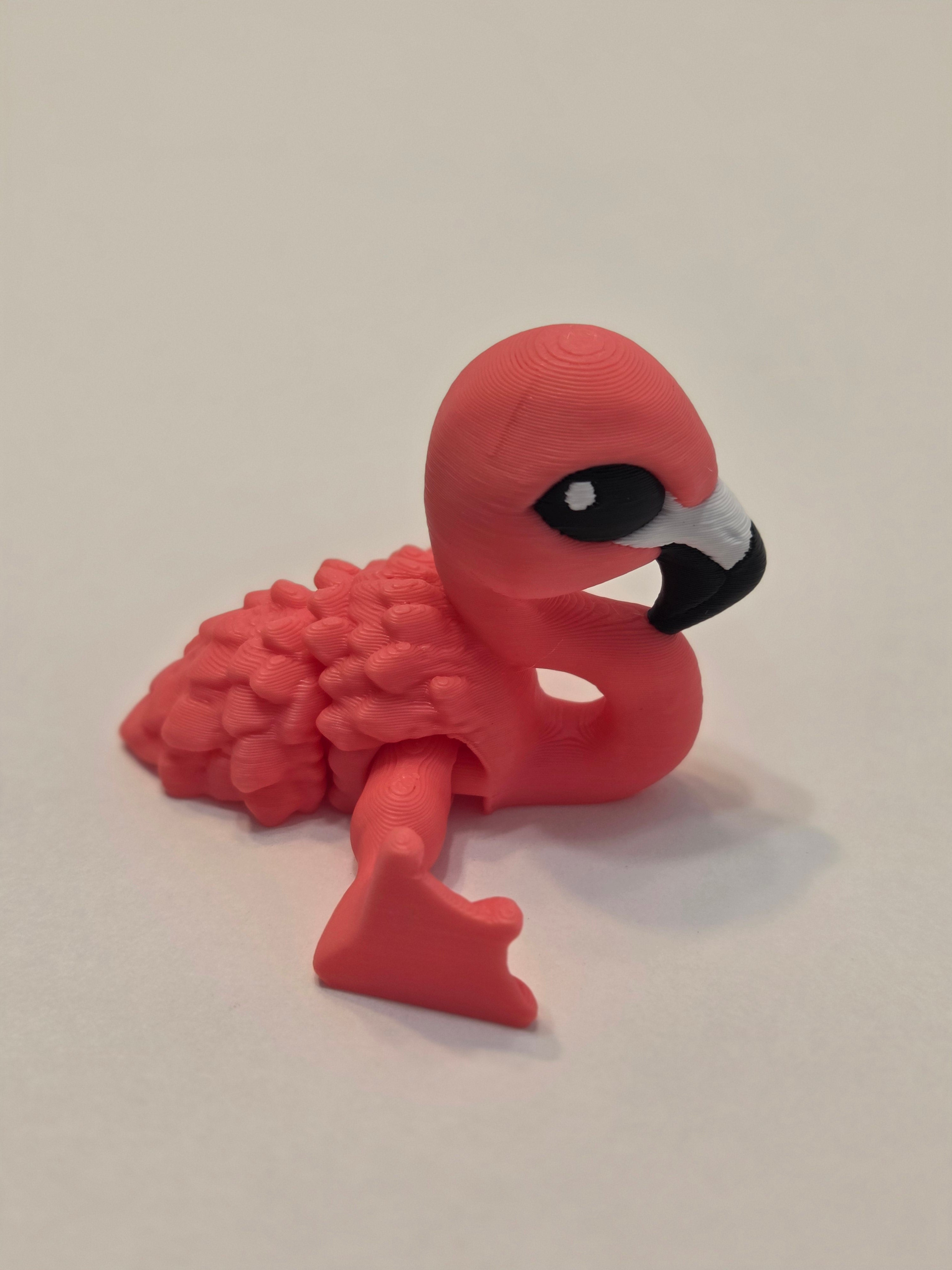 Flamingo