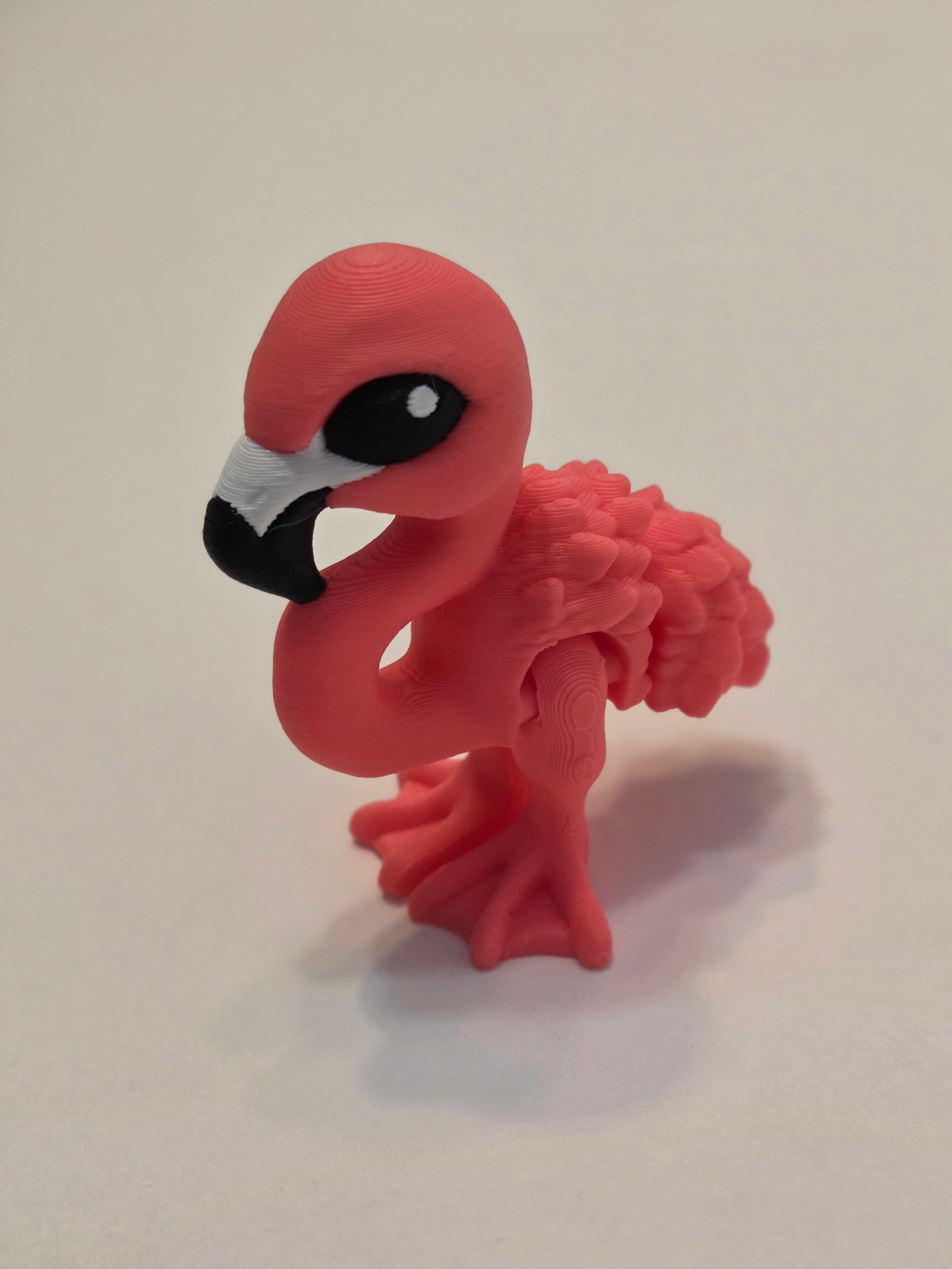 Flamingo