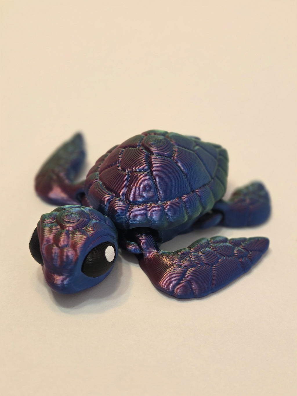Baby Sea Turtle
