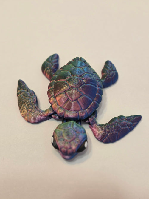 Baby Sea Turtle