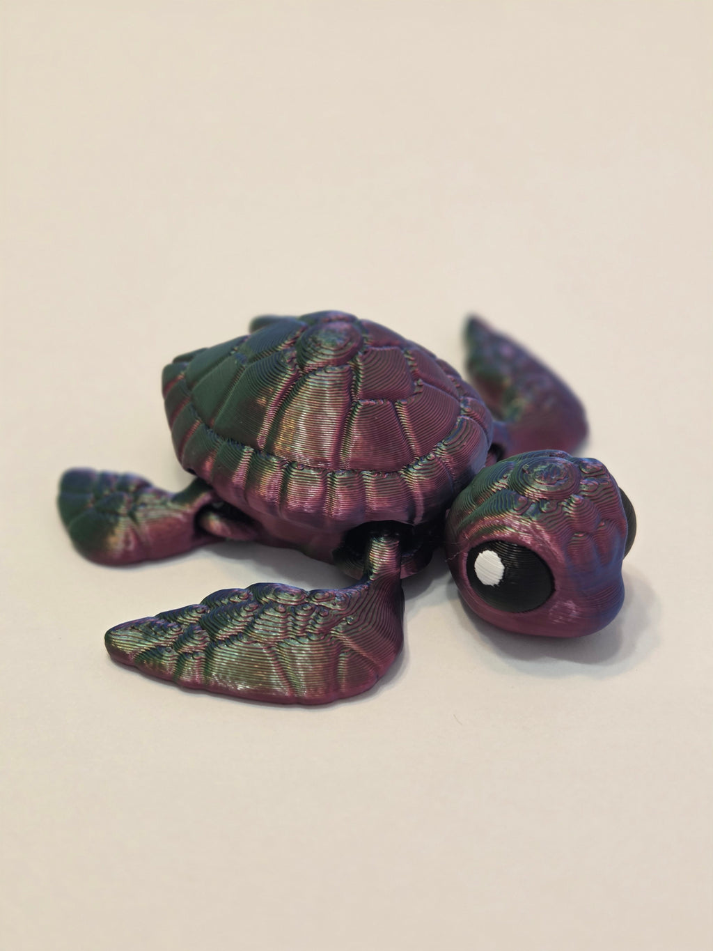 Baby Sea Turtle