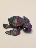 Baby Sea Turtle