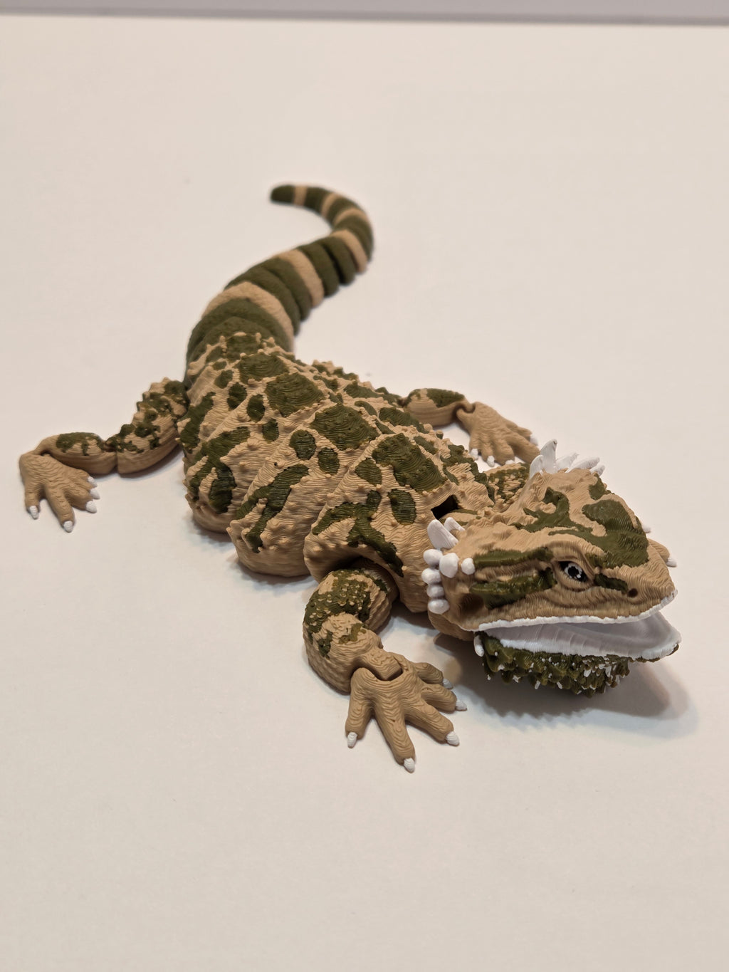 Bearded Dragon