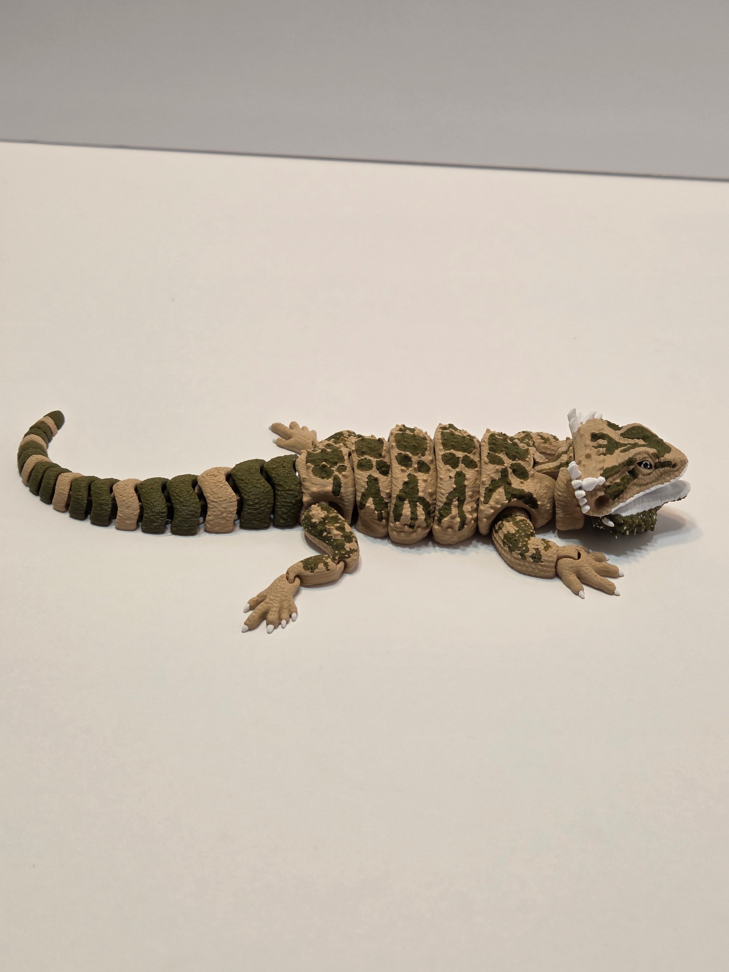 Bearded Dragon